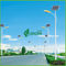Iluminación solar comercial blanca profesional del color 120W con los paneles solares del picovoltio