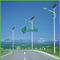 Luces de calle ahorros de energía del panel solar de IP65 20W LED con los 5M Q235 poste