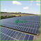 50MW en centrales eléctricas fotovoltaicas del gran escala de la rejilla con el soporte de aluminio