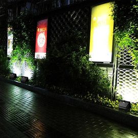 CE al aire libre solar económico de energía RoHs de las luces de inundación del LED para la iluminación del paisaje