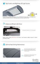 100W accesorios de aluminio IP65, 120v 130v 240v del alumbrado público del poder más elevado LED
